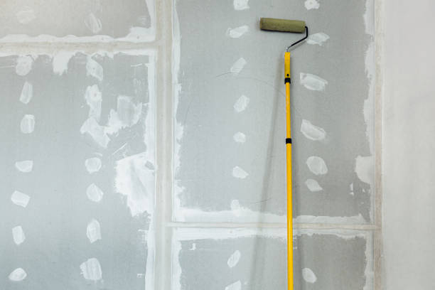Asbestos and Lead Testing During Mold Inspection in Spirit Lake, ID