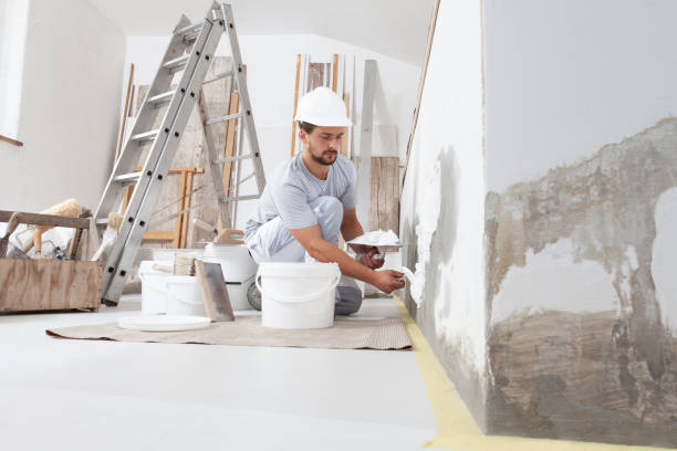  Spirit Lake, ID Mold Removal Pros