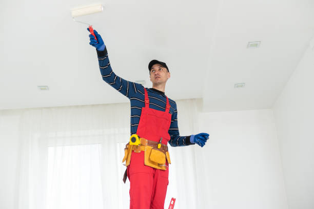 Best Residential Mold Inspection & Testing  in Spirit Lake, ID