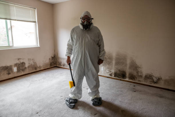 Best Mold Prevention Services  in Spirit Lake, ID