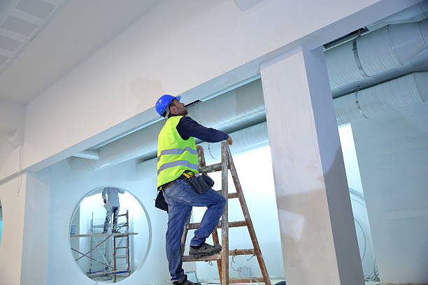 Best Post-Construction Mold Inspection  in Spirit Lake, ID