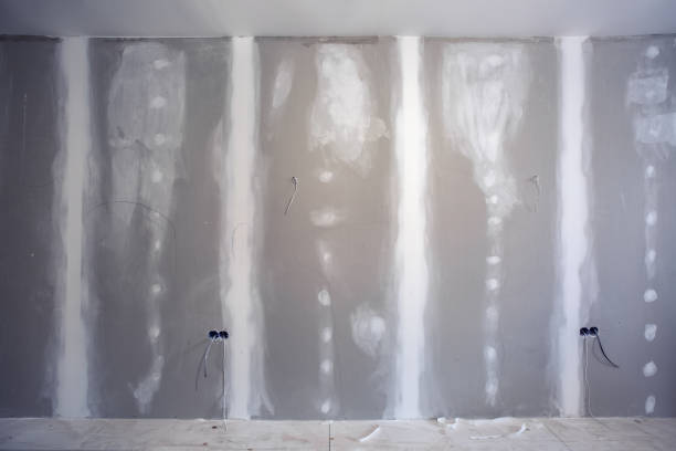 Best Asbestos and Lead Testing During Mold Inspection  in Spirit Lake, ID